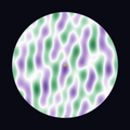 A Scalar Flower field disc: ten planetary waves interfering on a dark ground, gold point at the hub